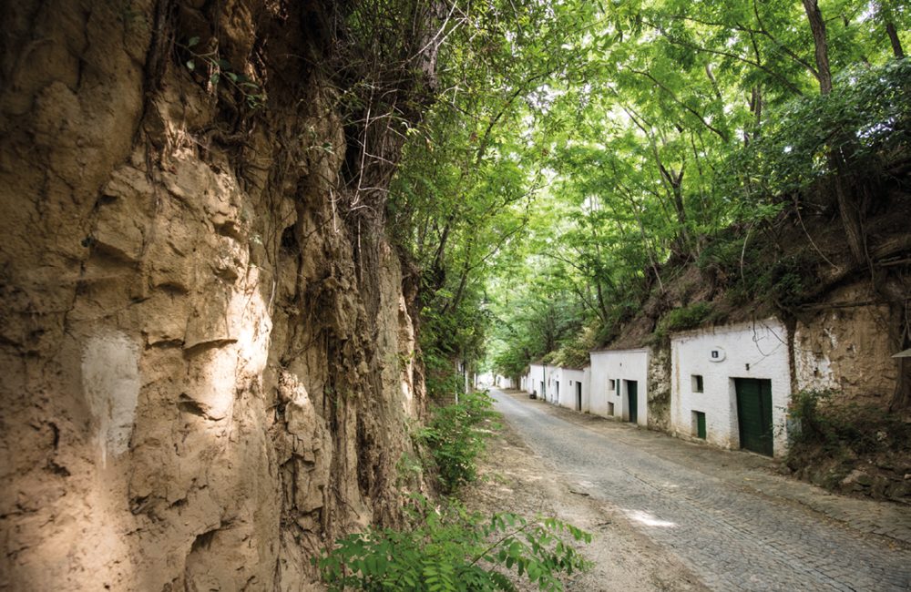 Foto Löss Kellergasse