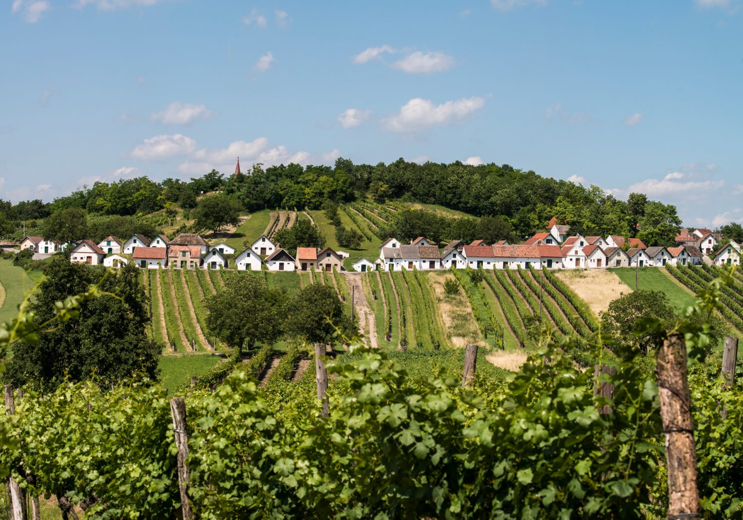 Weinviertler Kellergassen